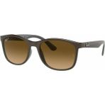 Ray-Ban 4374 6600M2 56 Kadın Güneş Gözlüğü