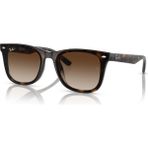 Ray-Ban 4420 710/13 65 Unisex Güneş Gözlüğü Leopar Çerçeve UV 400 Koruma Özelliği ile - Kahverengi