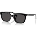 Ray-Ban 4439D 901/87 54 Güneş Gözlüğü Siyah Kemik Çerçeve ile UV400 Koruma Sunar