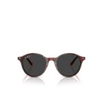 Ray-Ban Bernard RB2230 Yuvarlak Çok Renkli Unisex Polarize Güneş Gözlüğü