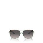Ray-Ban Bill One RB2205 Oval Kahve Unisex Polarize Güneş Gözlüğü