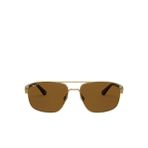 Ray-Ban Blaze RB3663 Geometrik Altın Polarize Erkek Güneş Gözlüğü