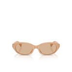 Ray-Ban Explorer V RB3845 Geometrik Gri Unisex Polarize Güneş Gözlüğü