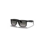 Ray-Ban Güneş Gözlüğü RB4165 51 601/8G