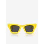 Ray-Ban Kadın Güneş Gözlüğü 0RB494047683087