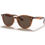 Ray-Ban Mod 4305 C820 73 Kahverengi Kırçıllı Unisex Güneş Gözlüğü