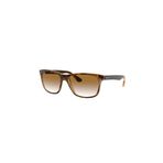 Ray-Ban Rayban 4181 710/51 57-16 Erkek