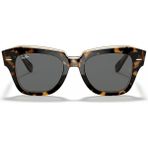 Ray-Ban Rb 2186 1292B1 49*20*145 Kadın Güneş Gözlüğü - Leopar