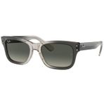 Ray-Ban Rb 2283 134071 52 Unisex Güneş Gözlüğü