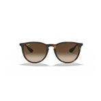 Ray-ban RB 4171 865/13 54*18-145 Erika Unisex Güneş Gözlüğü