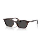 Ray-Ban RB 4456 135987 53 Zaya Unisex Güneş Gözlüğü