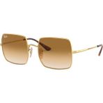 Ray-Ban RB1971 9147 51 Kadın Güneş Gözlüğü