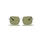 Ray-Ban RB1971 91974E 54 Kadın Güneş Gözlüğü
