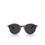Ray-Ban RB2230 Yuvarlak Çok Renkli Unisex Polarize Güneş Gözlüğü