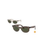 Ray-Ban RB2242 Oval Gri Unisex Güneş Gözlüğü