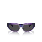 Ray-Ban RB2242 Wayfarer OvalSiyah Unisex Güneş Gözlüğü