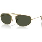 Ray-Ban RB3845 919631 60 Unisex Güneş Gözlüğü
