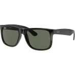 Ray-Ban RB4165 601/71 55-16-145 Erkek Güneş Gözlüğü - Yeşil