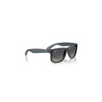 Ray-Ban RB4165 681311 55 Güneş Gözlüğü