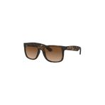 RAY-BAN Rb4165 710/13 Unisex Güneş Gzlüğü,Havana