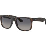 Ray-Ban RB4165 865/8S 54-16-145 Erkek Güneş Gözlüğü - Füme