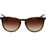 Ray-Ban RB4171 865/13 54-18 Erkek Güneş Gözlüğü