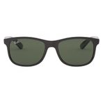 Ray-Ban RB/4202/6069/71/55 Erkek Güneş Gözlüğü
