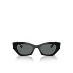 Ray-Ban RB4430 Oval Siyah Unisex Polarize Güneş Gözlüğü