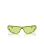 Ray-Ban RB4431 Oval Yeşil Unisex Güneş Gözlüğü