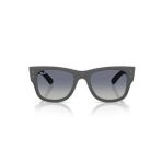 Ray-Ban RB4840S 60174L 50 Unisex Güneş Gözlüğü