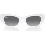 Ray-Ban Unisex Güneş Gözlüğü RB4430-675911 - Çok Renkli