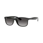 Rayban 0RB4202 601-8G 55 Unisex Güneş Gözlüğü
