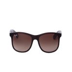 Rayban 0RB4202 60731355 Erkek Güneş Gözlüğü