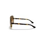 Rayban Rb 4125 Cats 5000 710/51 59
