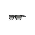 Rayban RB4165 601/8G5416145 Justın Füme Degrade Güneş Gözlüğü