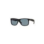 Rayban RB4165865-T555 Erkek Güneş Gözlüğü