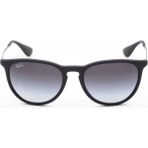 Rayban RB4171 (Erika) 622/8G Kadın Güneş Gözlüğü