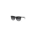Rayban RB4378 601/8G Erkek Güneş Gözlüğü
