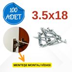 Raymobaks 3.5x18 100 Adet Menteşe Montajı ve Ahşap İşler için Sunta Vidası