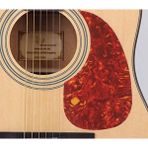 Raymond Joes PG101 Gitar Pena Korumalığı - Pickguard
