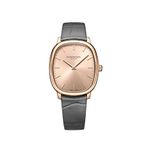 Raymond Weil Rw2280pc580001 Deri Erkek Kol Saati - Gri