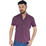 Raymons Erkek Dügmeli Polo Yaka Tişört R4400 BGL-ST02773 - XL - Mürdüm