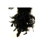 RAYTOYS OYUNCAK 100 Adet Siyah Kuş Tüyü Black Bırd Feather Siyah Şeffaf Balon Tüyü Dekoratik Siyah Süsleme Tüyü SİYAH