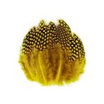 RAYTOYS OYUNCAK 100 PCS DECOR YELLOW BIRD FEATHER 100 ADET PUANTİYELİ SARI SİYAH KUŞ TÜYÜ DEKOR SARI KUŞ TÜYÜ SARI