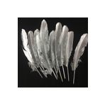 RAYTOYS OYUNCAK 10adet Metalik Parlak Gümüş Kuş Tüyü Gümüş Kuş Tüyü Decorsilver Bırd Feather Gümüş Şeffaf Balon Tüyü GÜMÜŞ