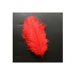 RAYTOYS OYUNCAK 400 PCS DECOR RED BIRD FEATHER 400 ADET KIRMIZI TÜY KIRMIZI ŞEFFAF BALON TÜYÜ SÜSLEME TÜYÜ KIRMIZI