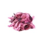 RAYTOYS OYUNCAK 50 Adet Puantiyeli Pembe Siyah Kuş Tüyü Pembe Kuş Tüyü Pink Bırd Feather Pembe Şeffaf Balon Tüyü PEMBE