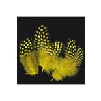 RAYTOYS OYUNCAK 50 Adet Puantiyeli Sarı Siyah Kuş Tüyü Sarı Kuş Tüyü Yellow Bırd Feather Sarı Şeffaf Balon Tüyü sarı