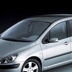 RBW Peugeot 307 2001-2004 Ön Muz Silecek Takımı