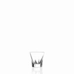 RCR Fusion 60 ml Likör Bardağı
